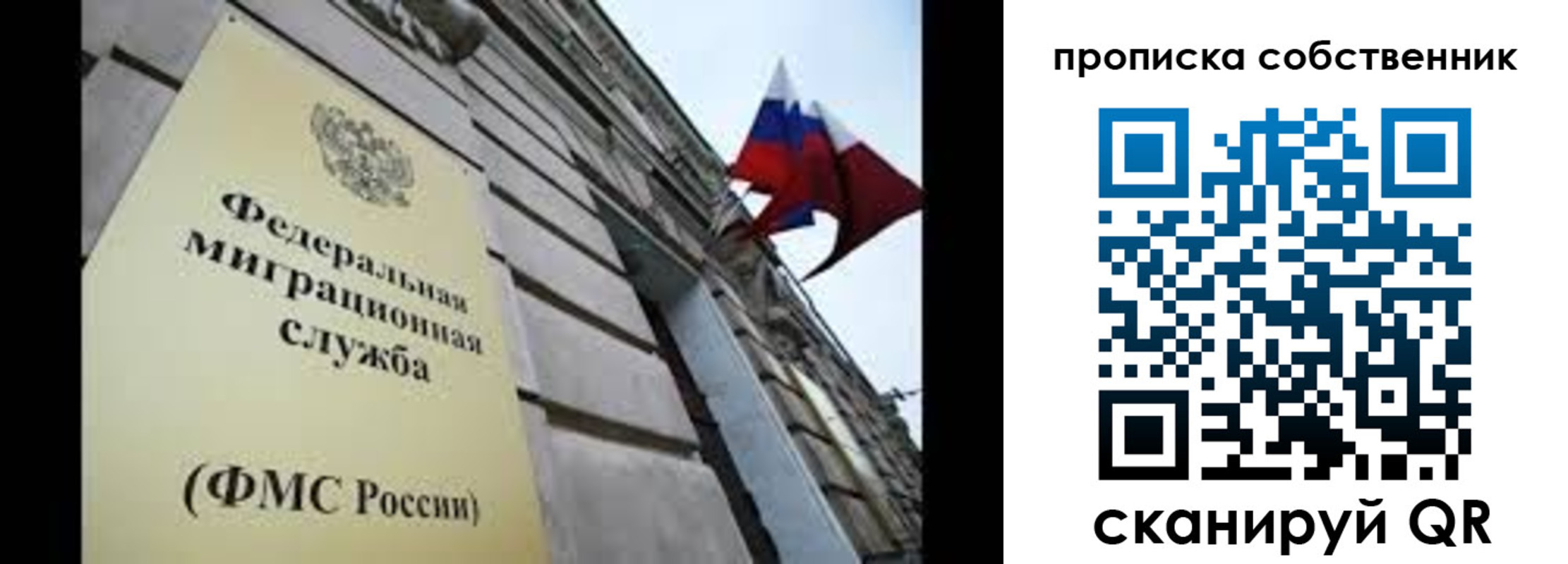 прописка гарантия в Петушках
